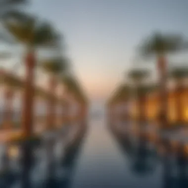 Magnificent Comprehensive Exploration of the Jebel Ali Palm Project