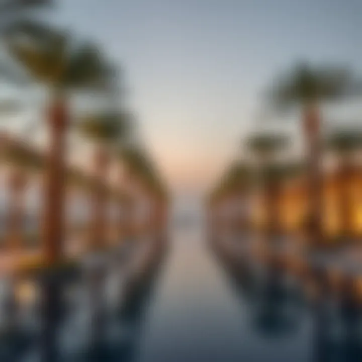 Magnificent Comprehensive Exploration of the Jebel Ali Palm Project