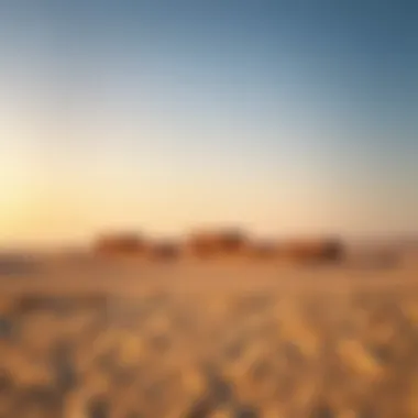 Magnificent Exploring the North Bani Yas Project Magnificent Exploring the North Bani Yas Project