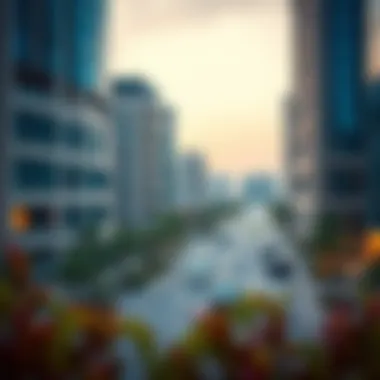 Magnificent Understanding Jumeirah Park District 1: An In-Depth Analysis