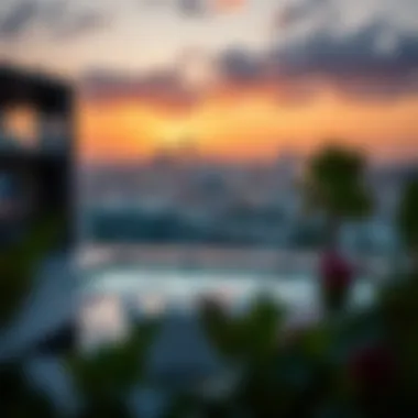 Magnificent Understanding الهيلي مول: A Comprehensive Overview for Investors