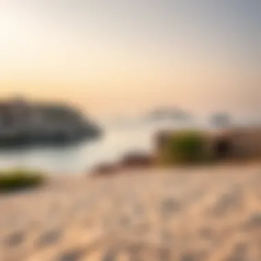 Notable An In-Depth Exploration of the Islands of the UAE