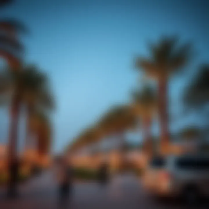 Notable Comprehensive Exploration of the Jebel Ali Palm Project