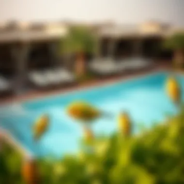 Exquisite Amenities at Creek Vista Heights Panoramic view of the amenities available at Creek Vista Heights.
