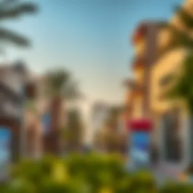 Streetscape of Al Raha Gardens highlighting local amenities and community vibe