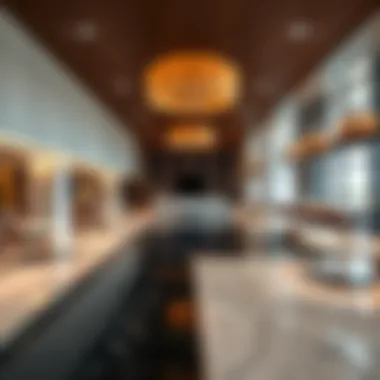 Luxury Amenities at Damac Maison Mall Street Luxurious amenities available at Damac Maison Mall Street