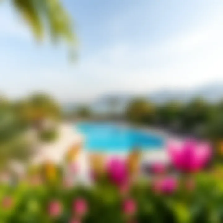 A panoramic view of the hotel’s pool area surrounded by lush greenery