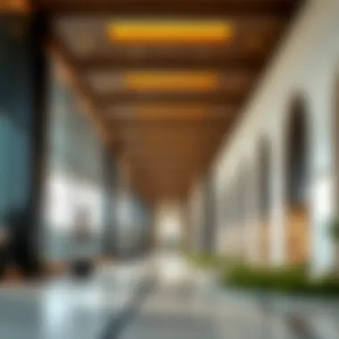 Exploring Jaber Ali: A Comprehensive Analysis of Dubai's Emerging Neighborhood Summary