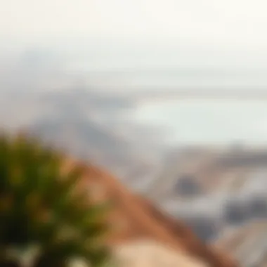 Breathtaking Panoramic View of Jebel Ali Hills Panoramic view of Jebel Ali Hills showcasing its natural beauty