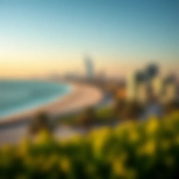 Panoramic view of Meraas La Mer beach and skyline