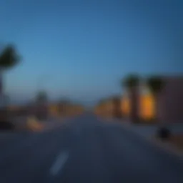 Exploring the North Bani Yas Project Introduction