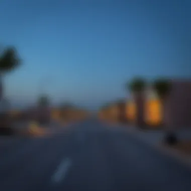 Exploring the North Bani Yas Project Introduction