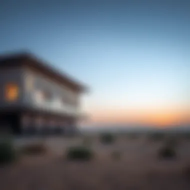 Exploring the North Bani Yas Project Summary