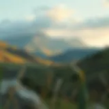 Exploring the Tranquil Landscape of the Valley Rivana Introduction