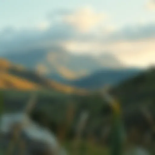 Exploring the Tranquil Landscape of the Valley Rivana Introduction