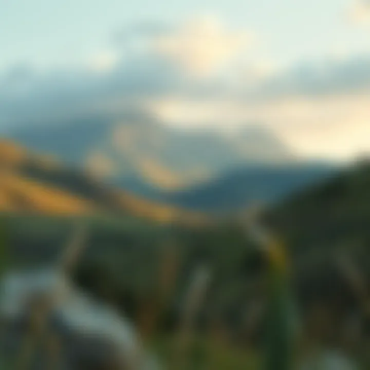 Exploring the Tranquil Landscape of the Valley Rivana Introduction