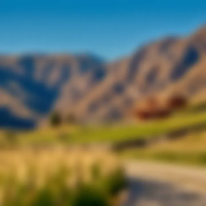 Notable Exploring the Tranquil Landscape of the Valley Rivana