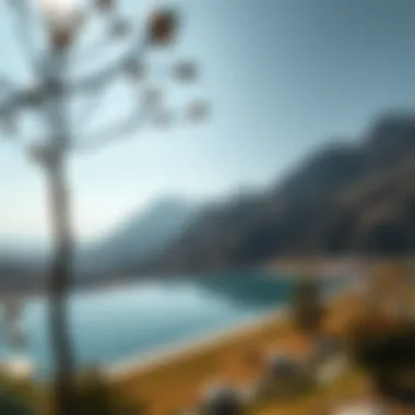 Exploring the Tranquil Landscape of the Valley Rivana Summary