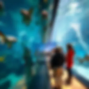 Visitors interacting with underwater exhibits