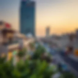 Market Dynamics of the Mina Area in Dubai Introduction