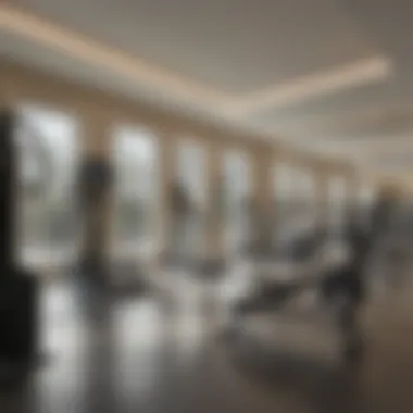 Advanced Fitness Center at Oasis Hotel Apartments State-of-the-art fitness center within Oasis Hotel Apartments featuring modern equipment