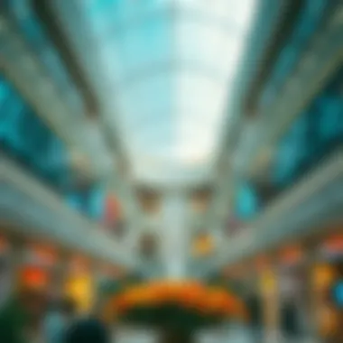 The Largest Mall: A Multifaceted Examination Summary