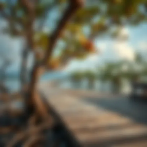 The Significance of Mangrove Ecosystems in Environmental Sustainability Introduction