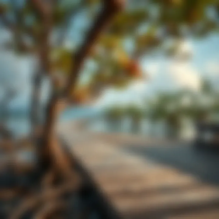 The Significance of Mangrove Ecosystems in Environmental Sustainability Introduction